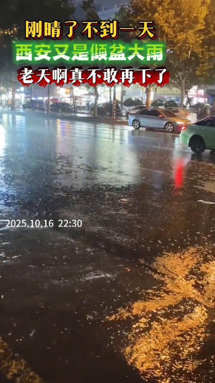 刚晴了不到一天，西安又是倾盆大雨，老天真不敢再下了。
2025.10.1622：