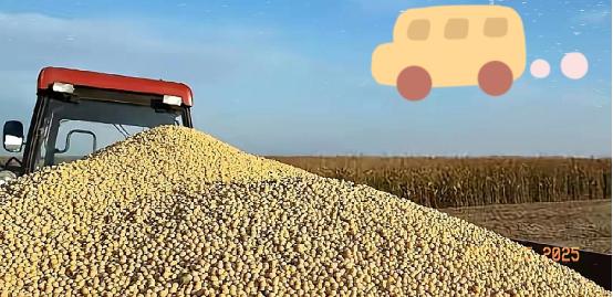 200万吨大豆烂港，巴西错判中国贸易底牌！

巴西圣保罗港，200万吨大豆堆积如