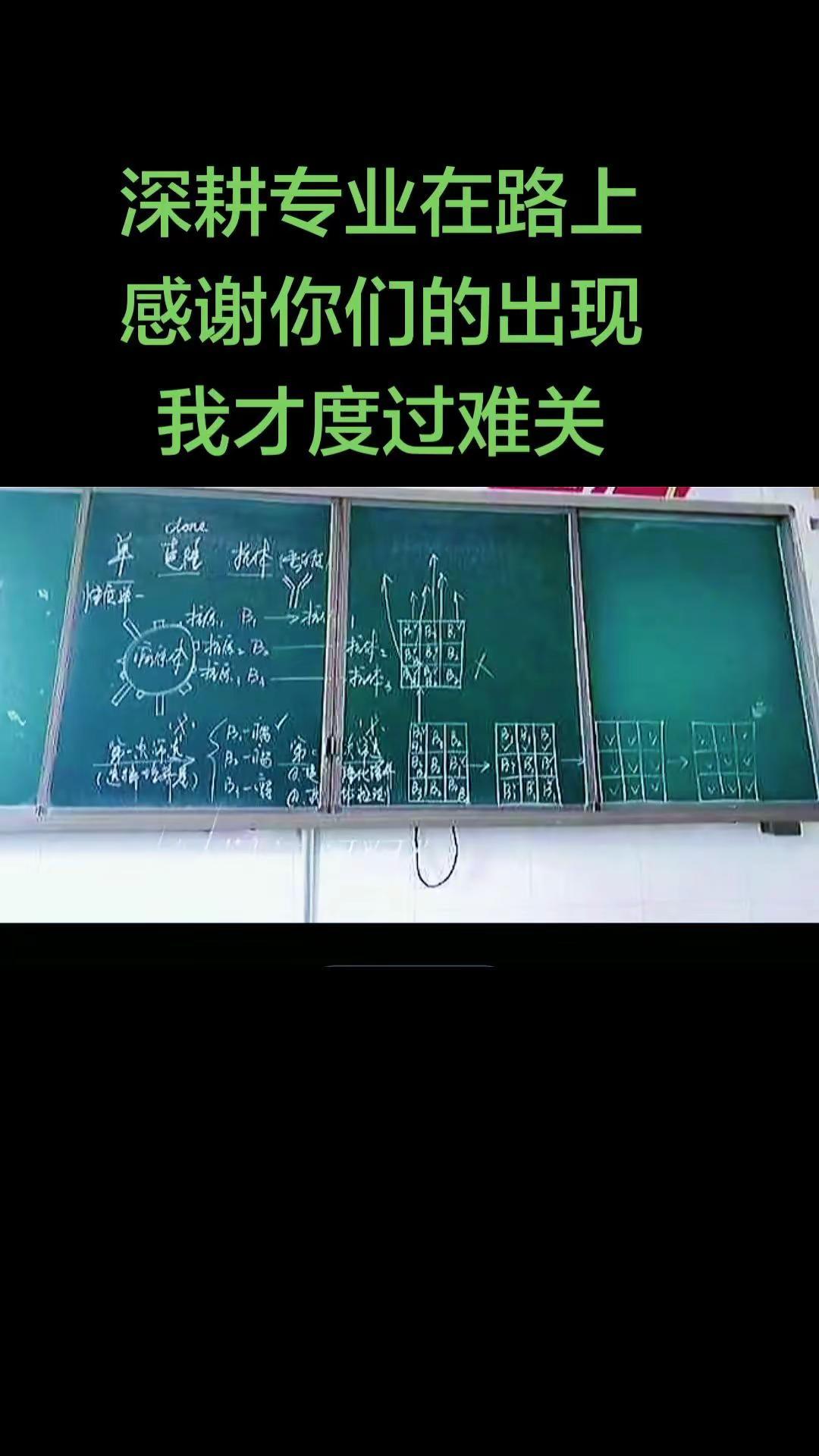 黑板上的知识点 数学板书 板书学习