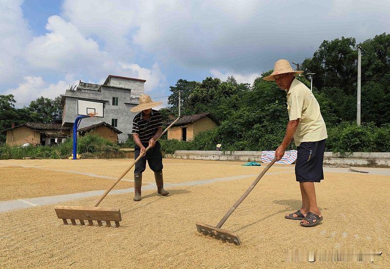 今天是九月十四民间俗语有
不怕九月十四晴，就怕当天雨淋淋。九月十四雨不停，寒冬腊