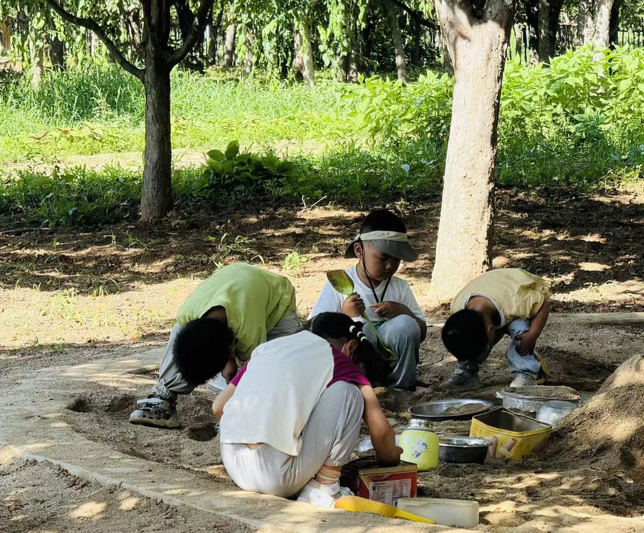 幼儿园的户外菜园成了小朋友们的寻宝乐园。孩子们蹲在松软的泥土里化身小小探险家，开