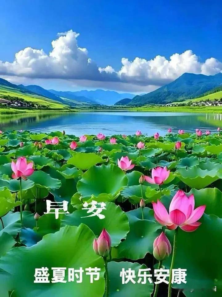 《清平乐·晨安寄友》

晓来情妙，
开屏寻君早。
一句晨光安好道，
捎上满心祈祷