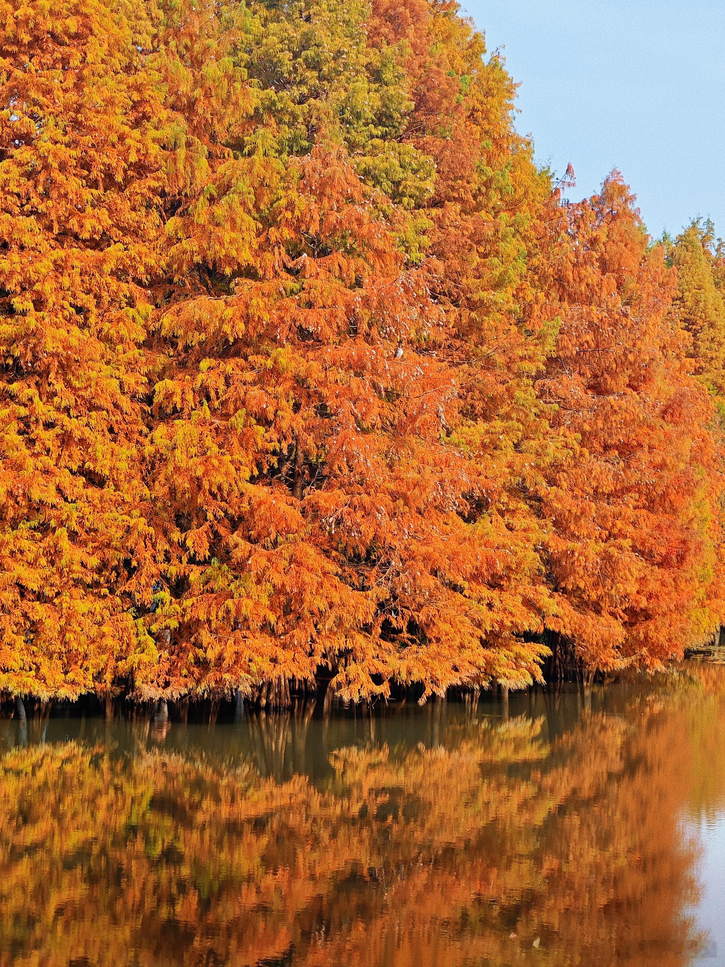 我是个不太会把自己困在过去的人也不会去责备自己曾经的选择和付出人生感悟人生的10