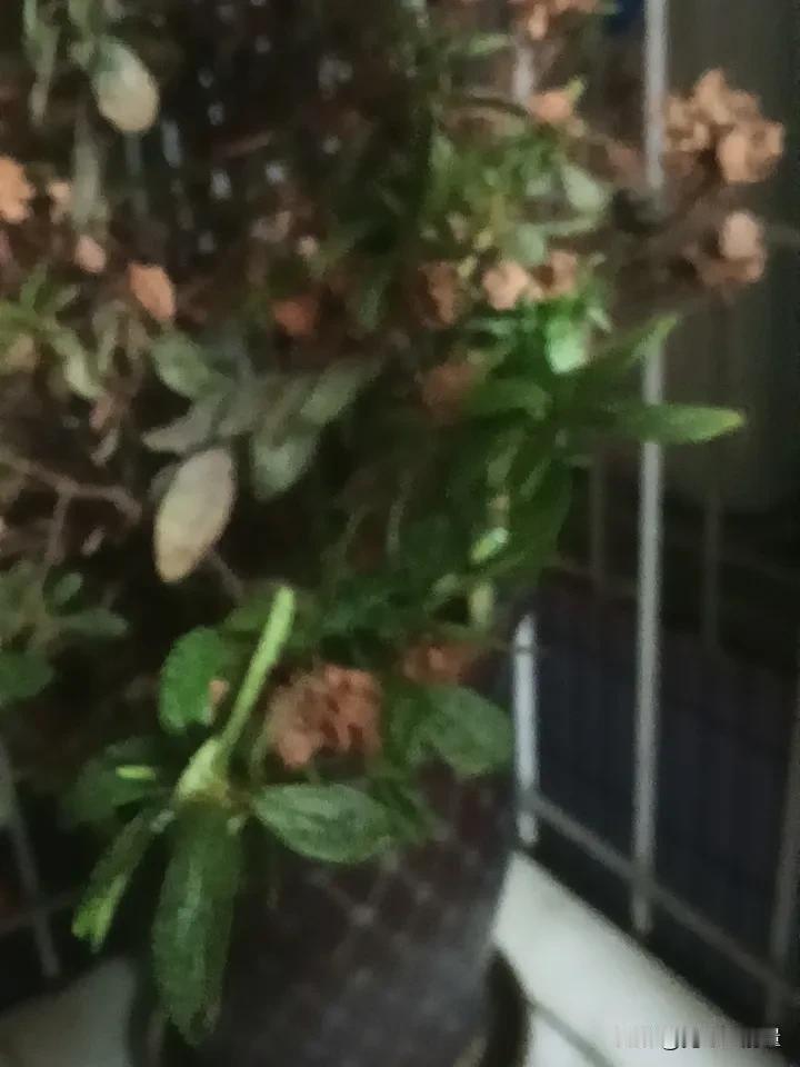 为我的真诚创作点赞！ 👍❤️🔥你也快来发布一条吧！带
