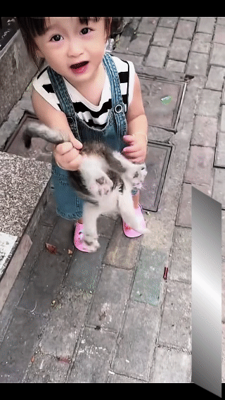 小美女是个狠人，竟然徒手拧尾巴抓猫，
猫咪被搞得一脸生无可恋[捂脸]