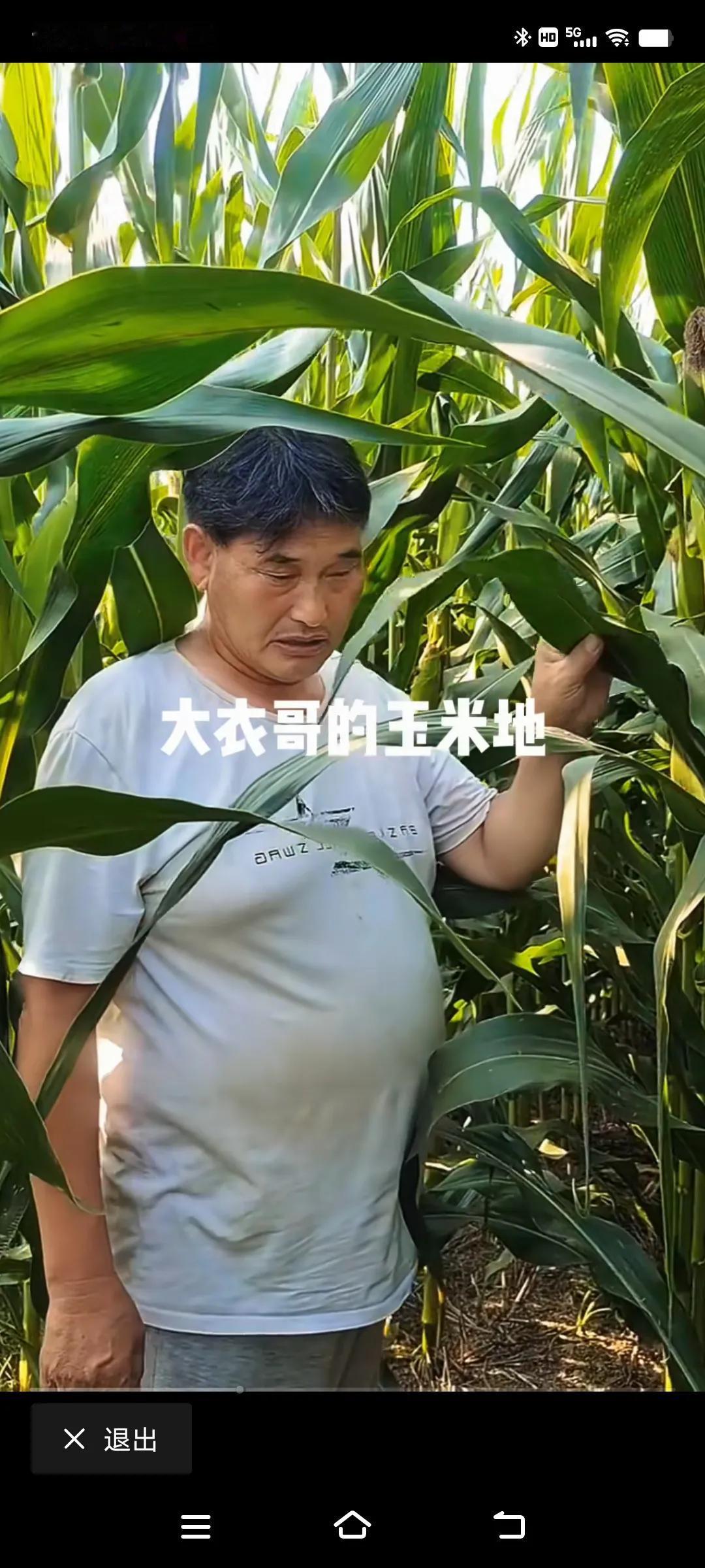 大衣哥怀疑🈶人来过他家的玉米地！哈哈哈，不会是刘占鳌和九儿来过吧？#农村趣闻分