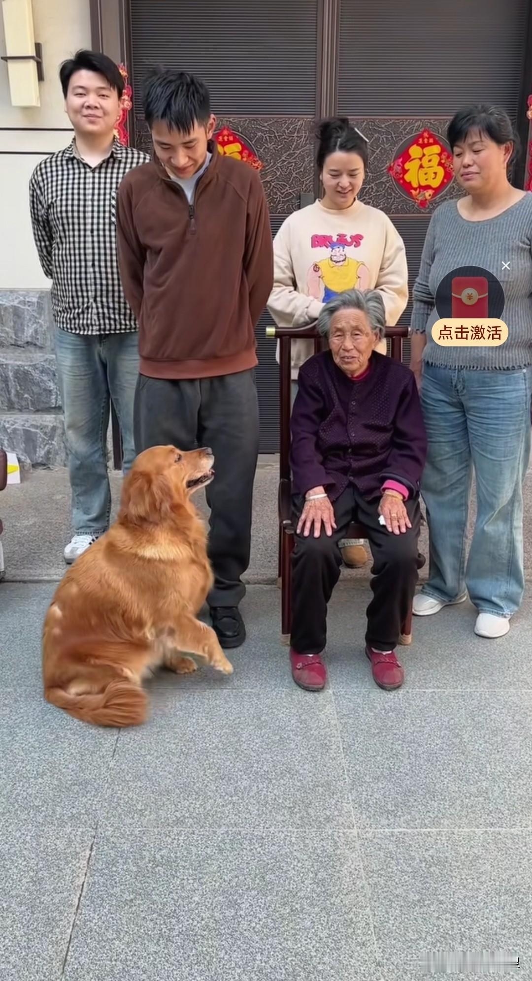 摄影师过来为奶奶一家拍摄全家福，狗狗跑过来抢镜，还向奶奶行了个大礼，仿佛在说自己