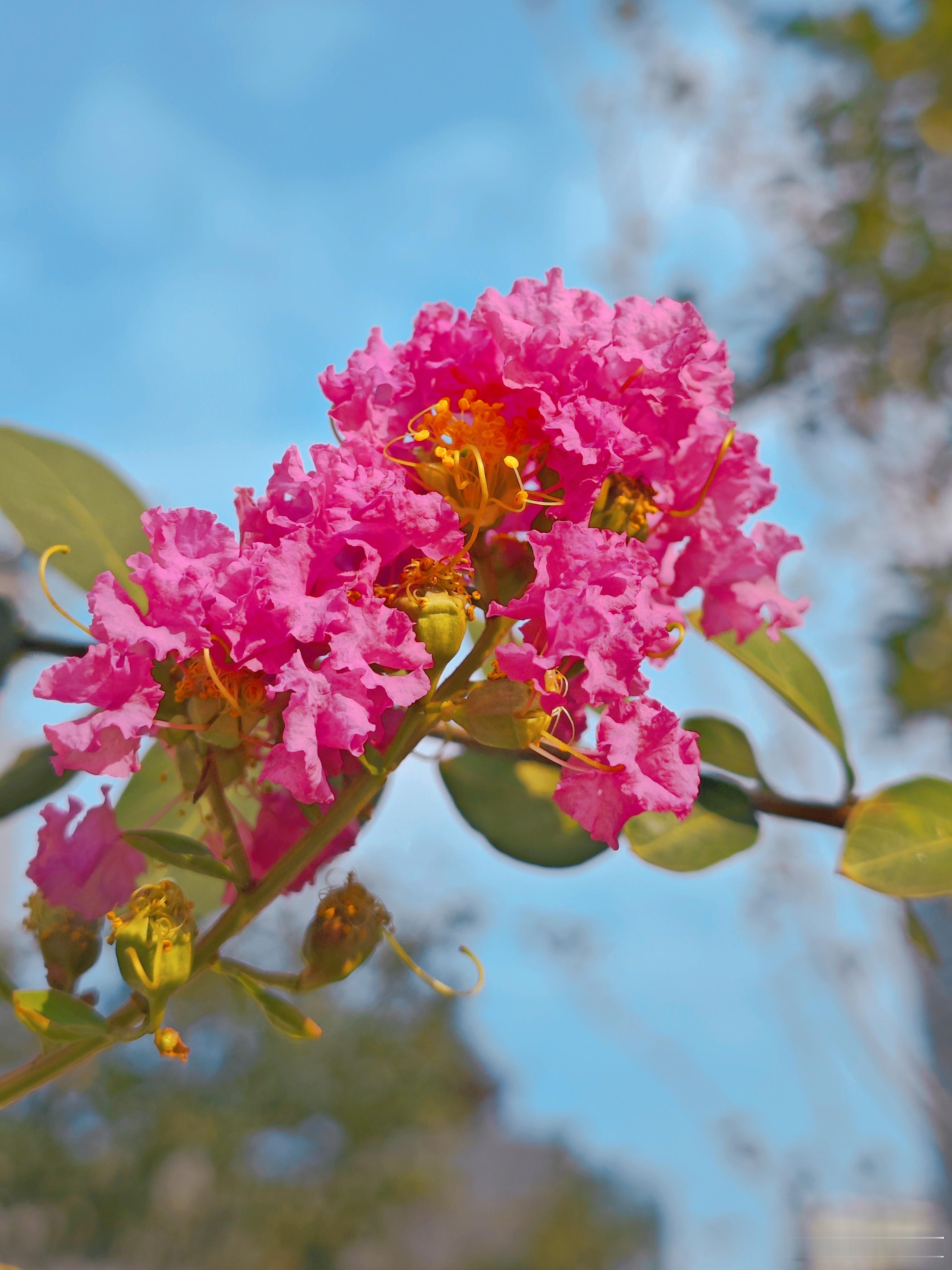 无论如何，你的生活将从此寻得自己的道路，并且那该是良好、丰富、广阔的道路，我所愿