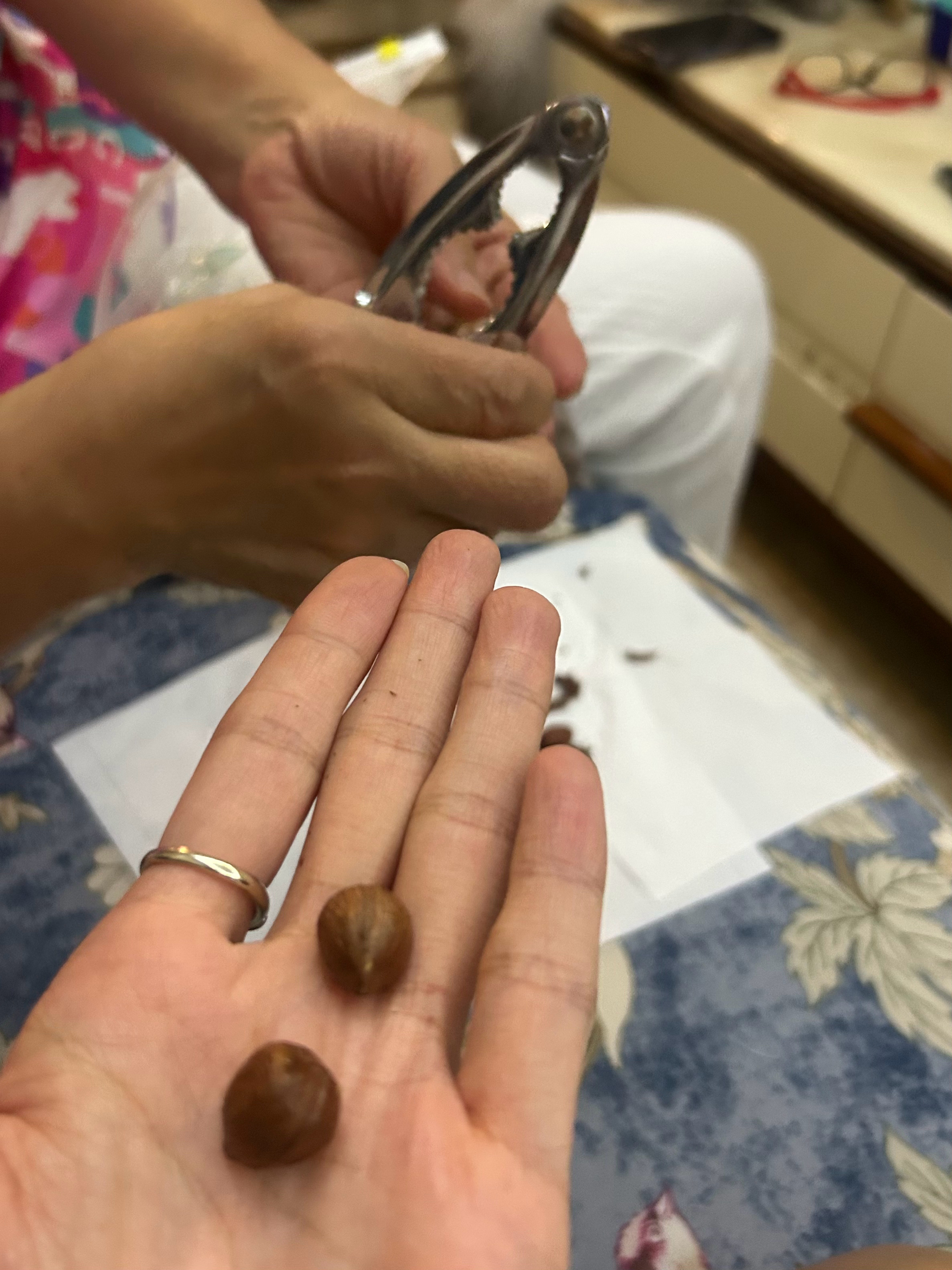 妈妈边剥我边吃，有时候想想在妈妈这我是宝，凭什么以后去别人家当奴隶，之前因为不会