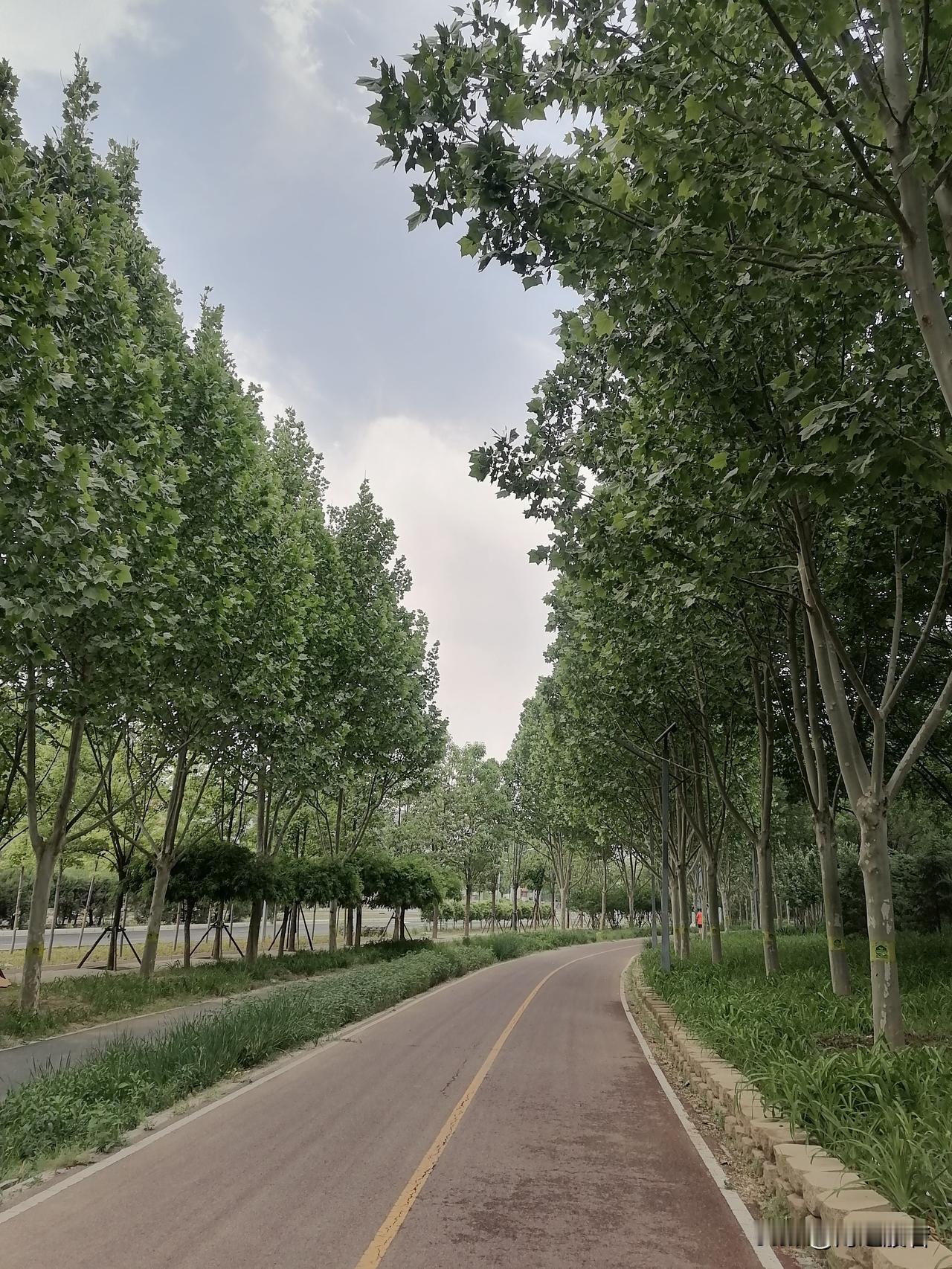 继续高温，户外活动注意遮阳防晒。

北京市气象台13日6时发布​​：
白天晴间多