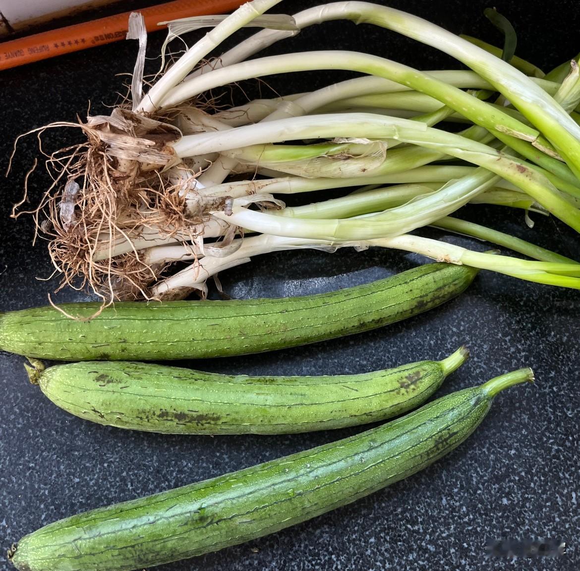 今天去陪伴老妈，老妈家的邻居送来自己种的菜。

一把大葱，三根丝瓜。

我就和邻