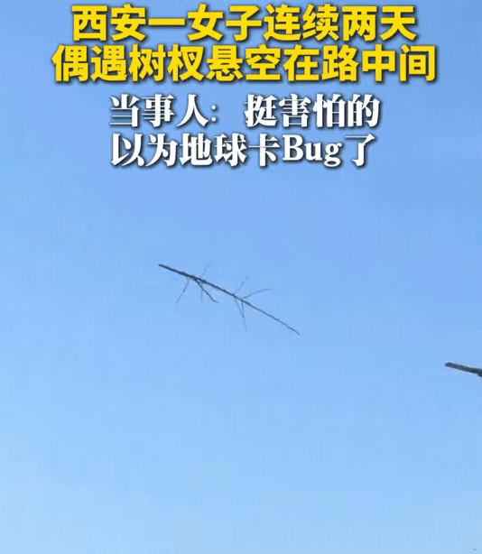 "差点解释不清了!"西安，一女子在下班回家的路上，下意识抬头一看，竟然发现一根树