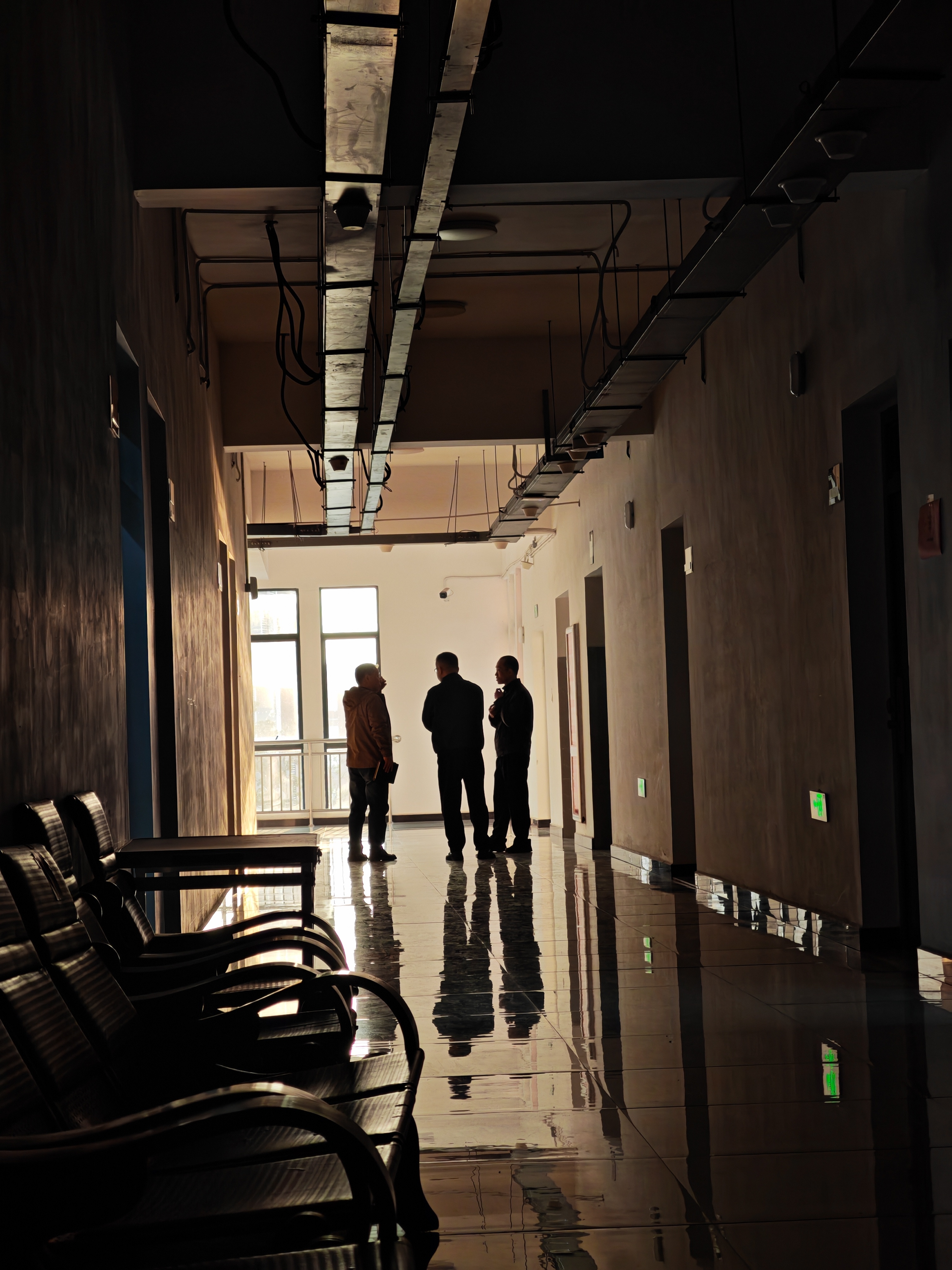 今天的氛围，是阳光带来的~江西今年的天气反复无常，桂花也被骗得开了又谢，谢了又开