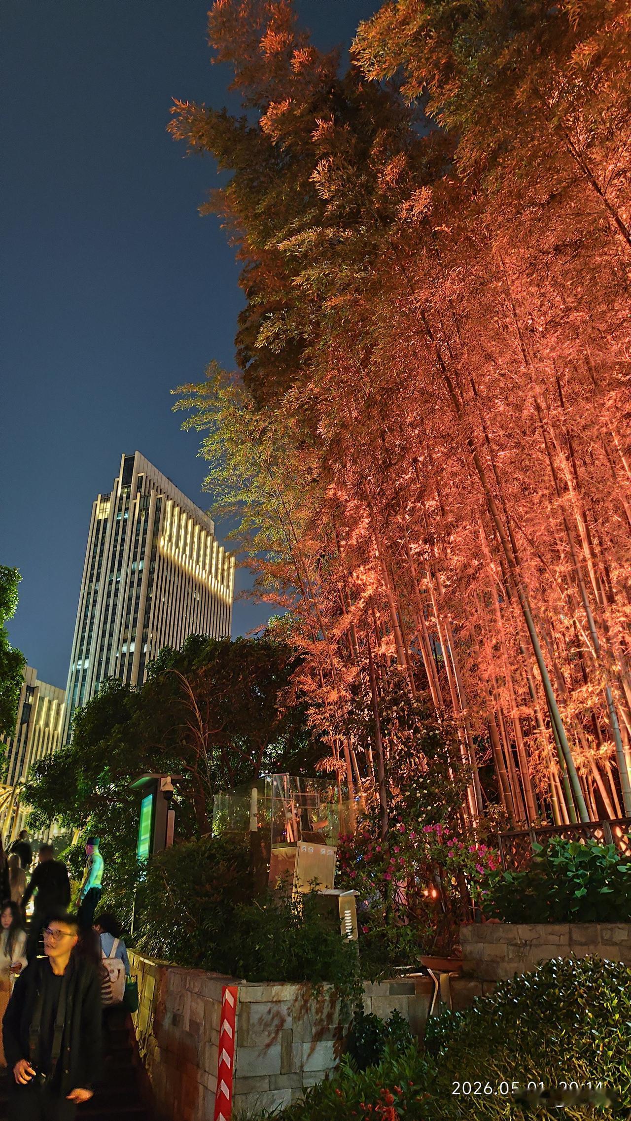分享你随手拍的风景翠竹夜晚红一角