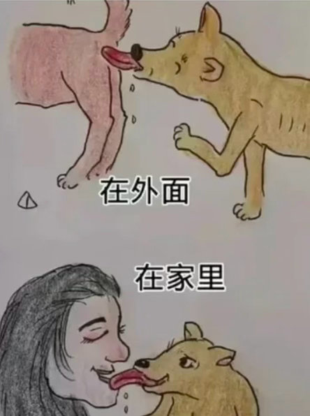 真是服了