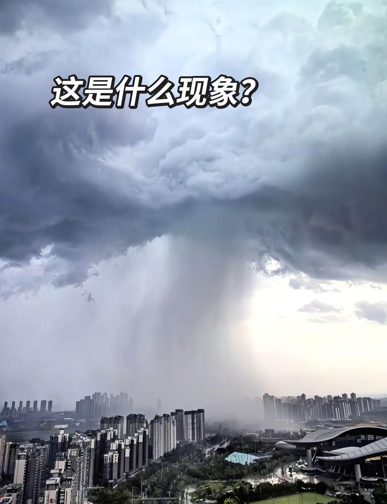 家人们，这是怎么了？今天的城市