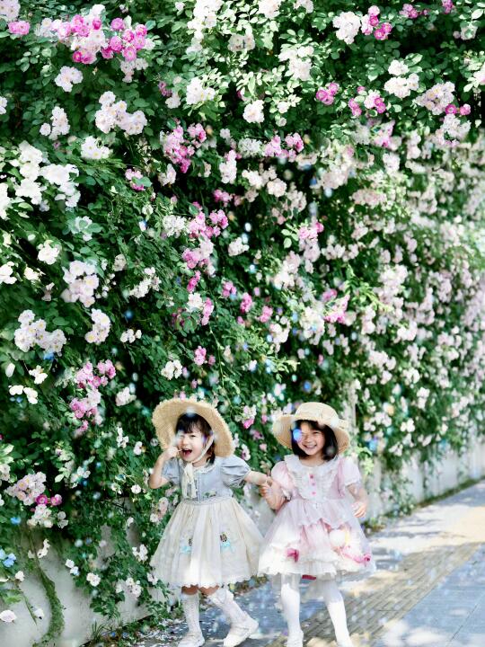 4.18实拍‼️预测合肥这要爆火🌸百米蔷薇花墙