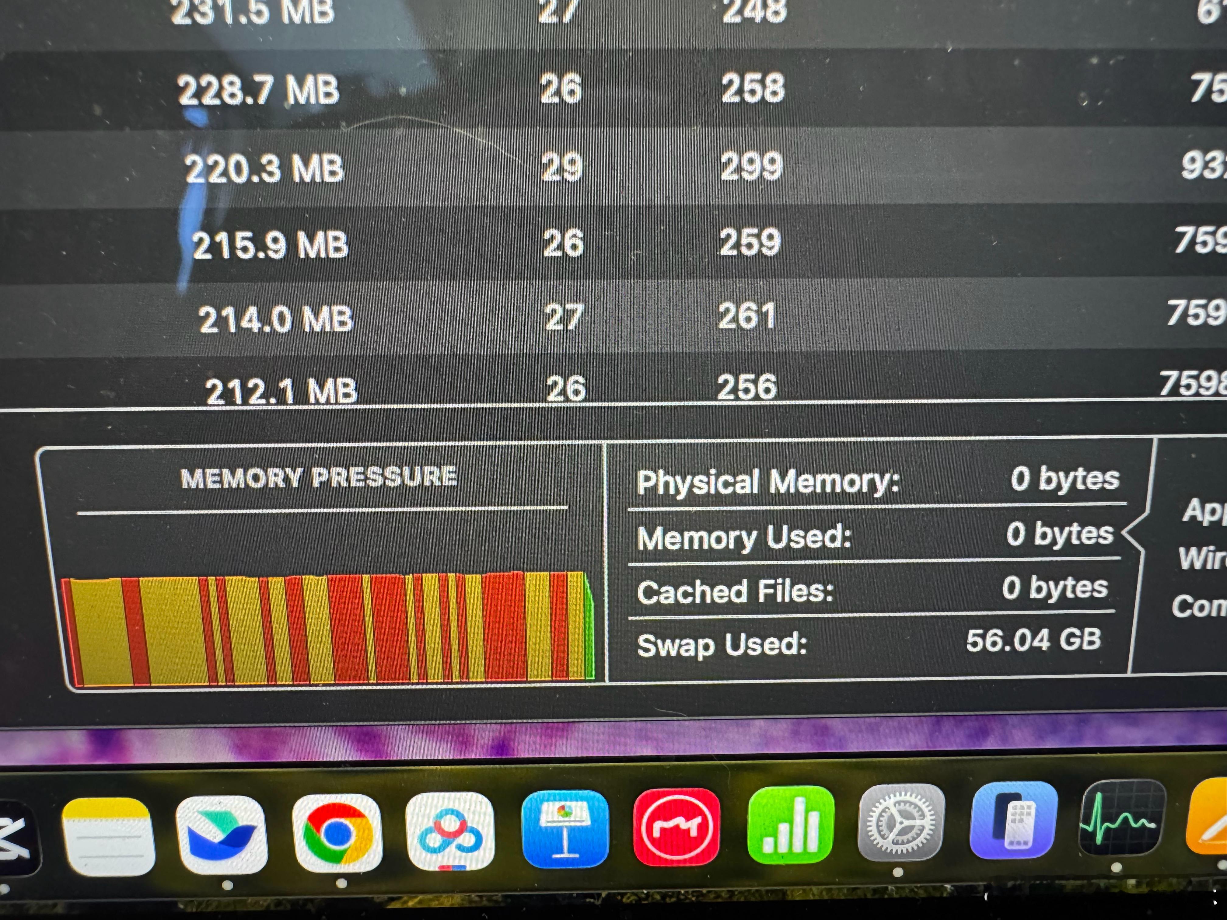 macbook 的资源监视器有bug，连续开机几天，就会计算错误 