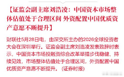 新副主席如是说。 