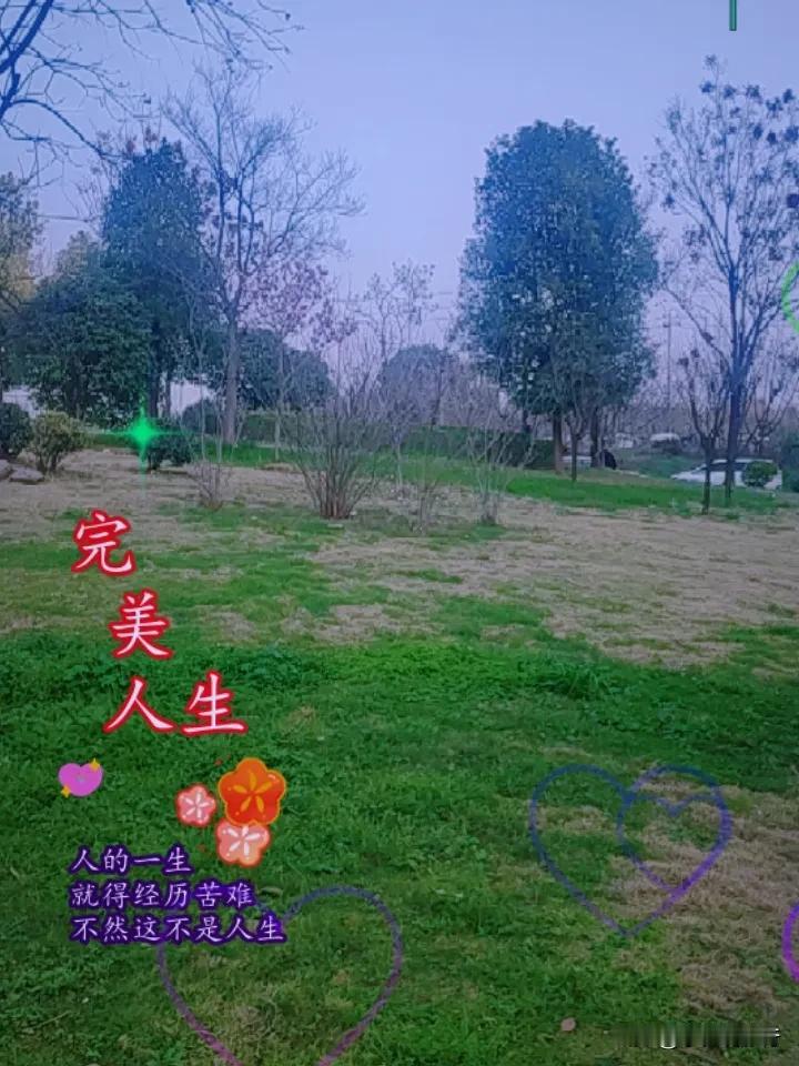 春日生活打卡季来这里打卡一下吧。