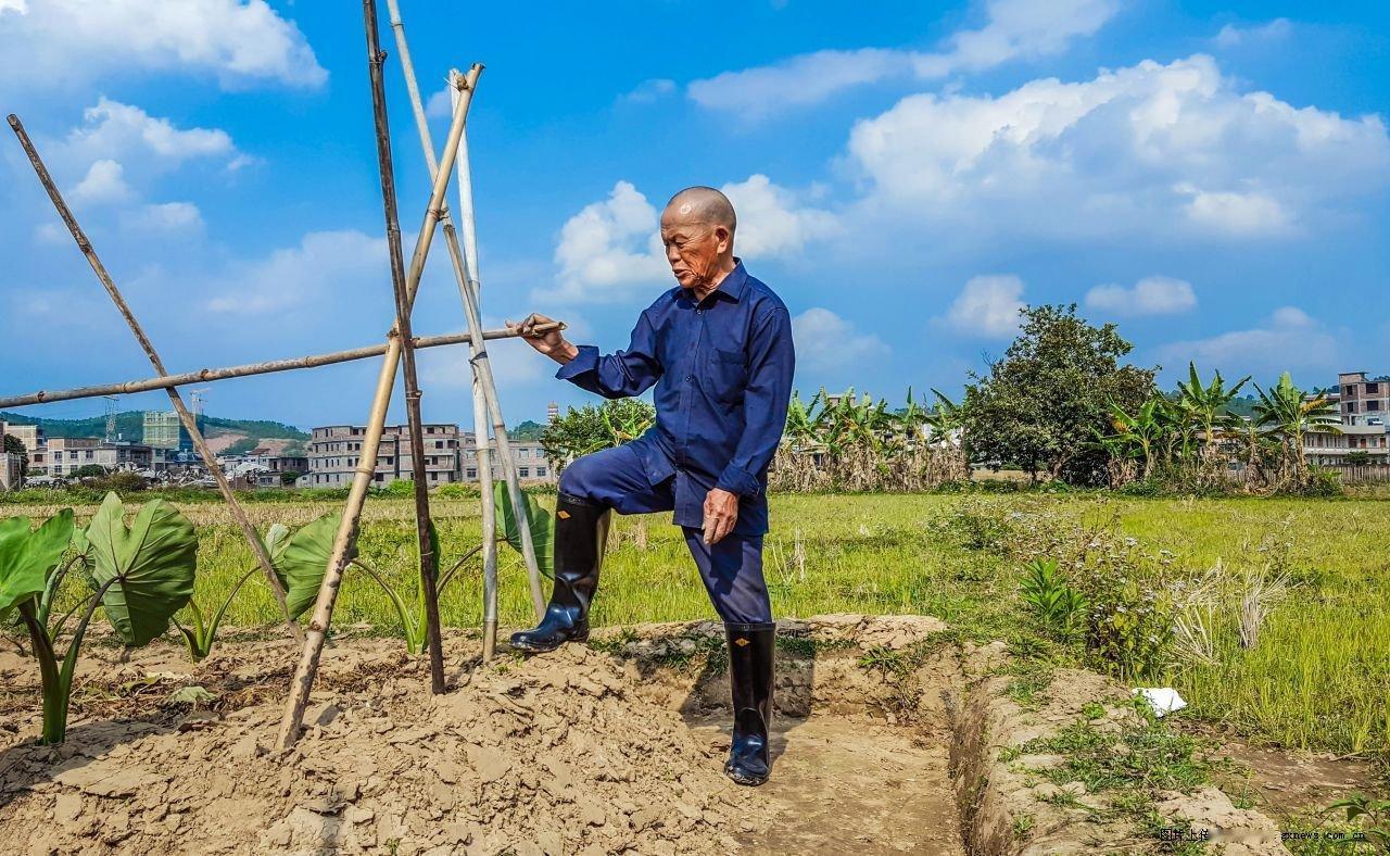 邻里暖心事，年岁渐长莫逞强——
 
想起去年一桩小事，至今记忆犹新。
那日我正忙
