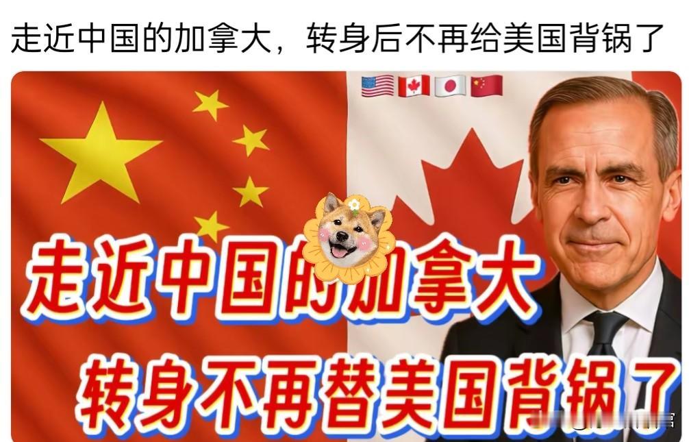 走近中国的加拿大，转身后不再给美国背锅了
 
最近刷到的消息里，加拿大的外交转向