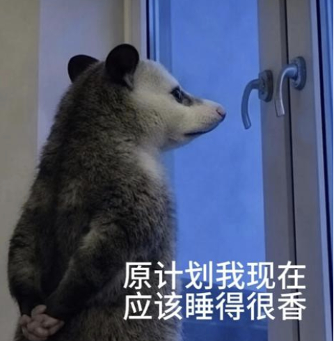 晚上十点作死喝了麒麟大口茶...结果一睡着就惊醒一睡着就惊醒🥲折腾到现在了..