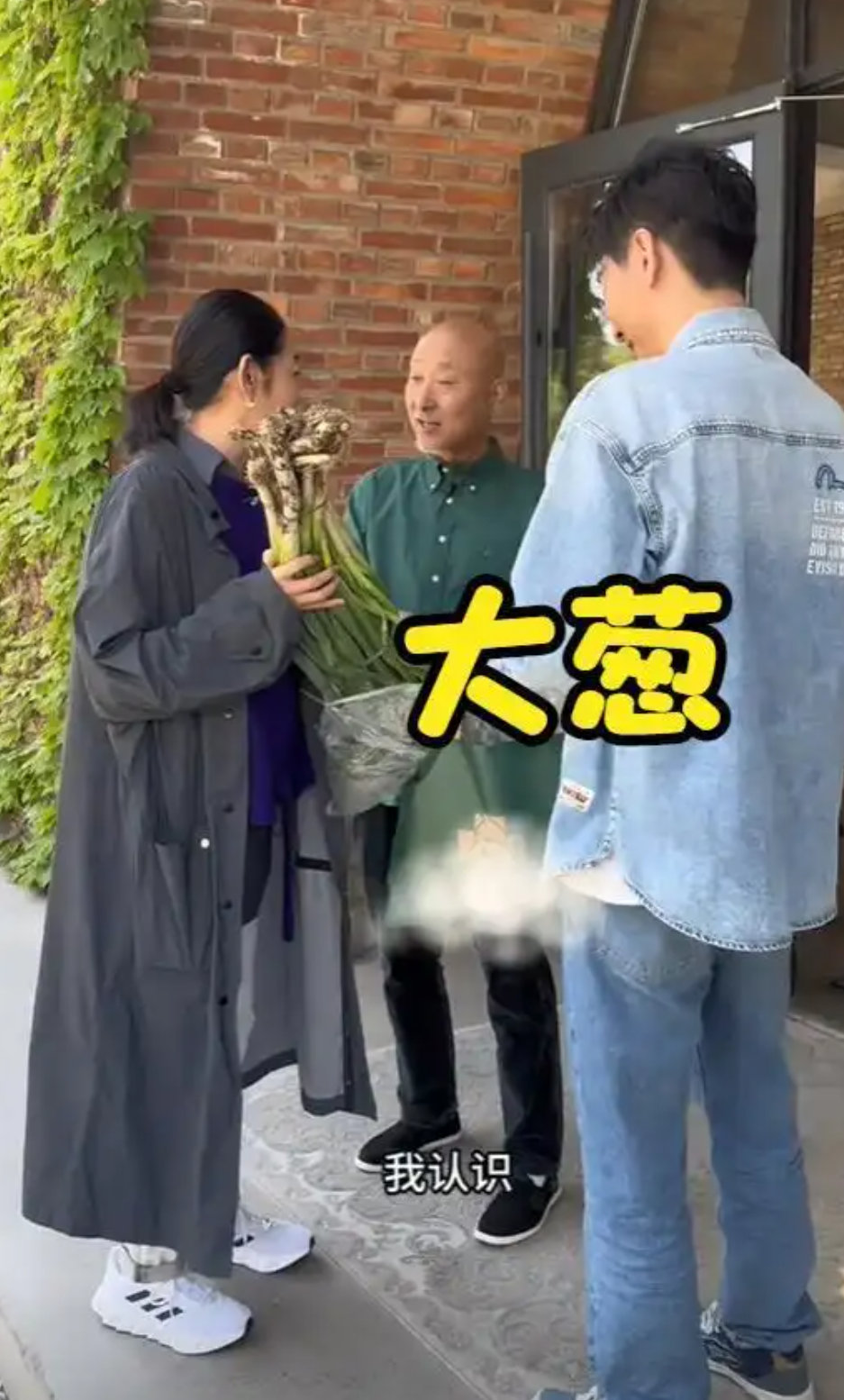 倪萍拜访陈佩斯：送大葱白菜当礼物，赠百万画作，自嘲不如葱值钱！ ​​​