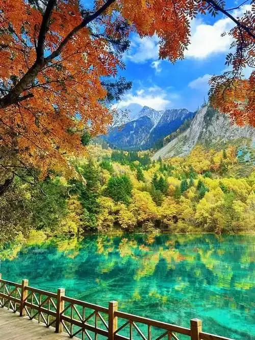 五一出行：开开心心旅游去，平平安安回家来。

五一假期近在眼前，宝子们是不是已经