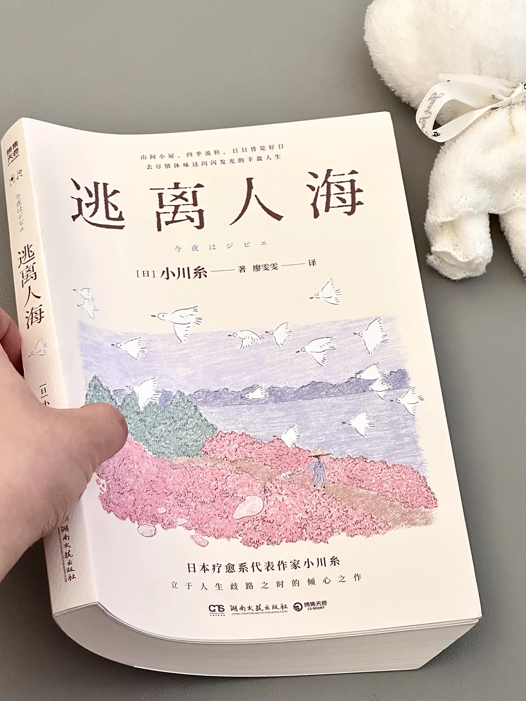 一眼沦陷💖怎么会有这么温暖治愈的书啊🥹！！