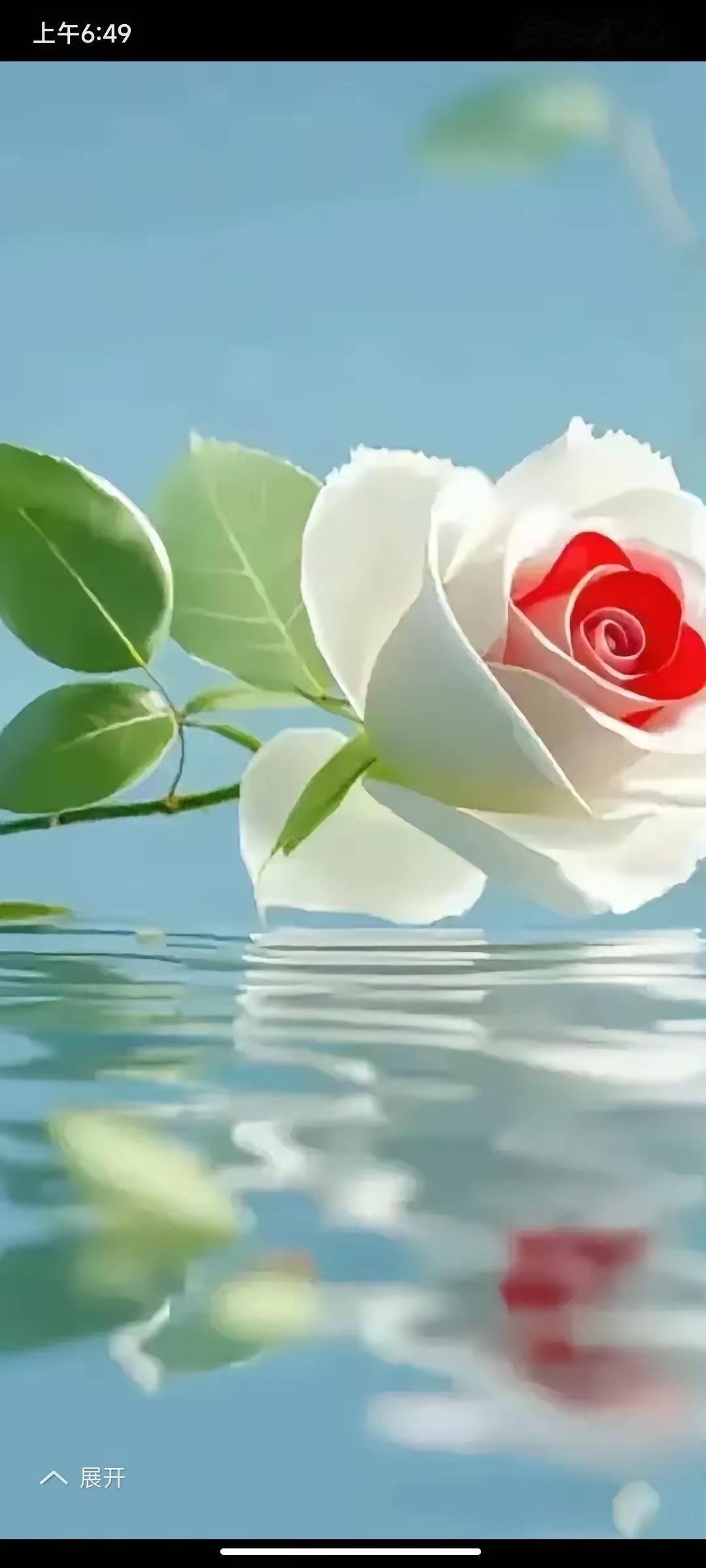 活的有些迷茫了？
没退休盼退休，盼到退休心气丢，没有了往日的紧张，觉得空虚的乏味