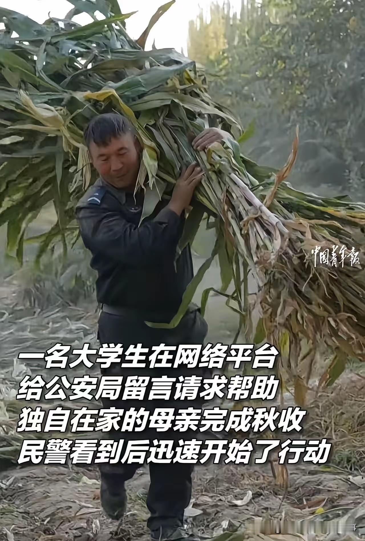 警徽映田野，服务暖民心：于田公安用行动诠释初心引全网点赞
 
近日，新疆于田县公