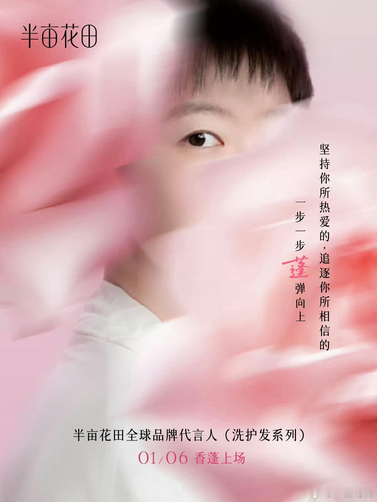 洗衣服用汰渍，肚子饿了吃肯德基和欧扎克，美白靓丽用OLAY和半亩花田👏👏👏