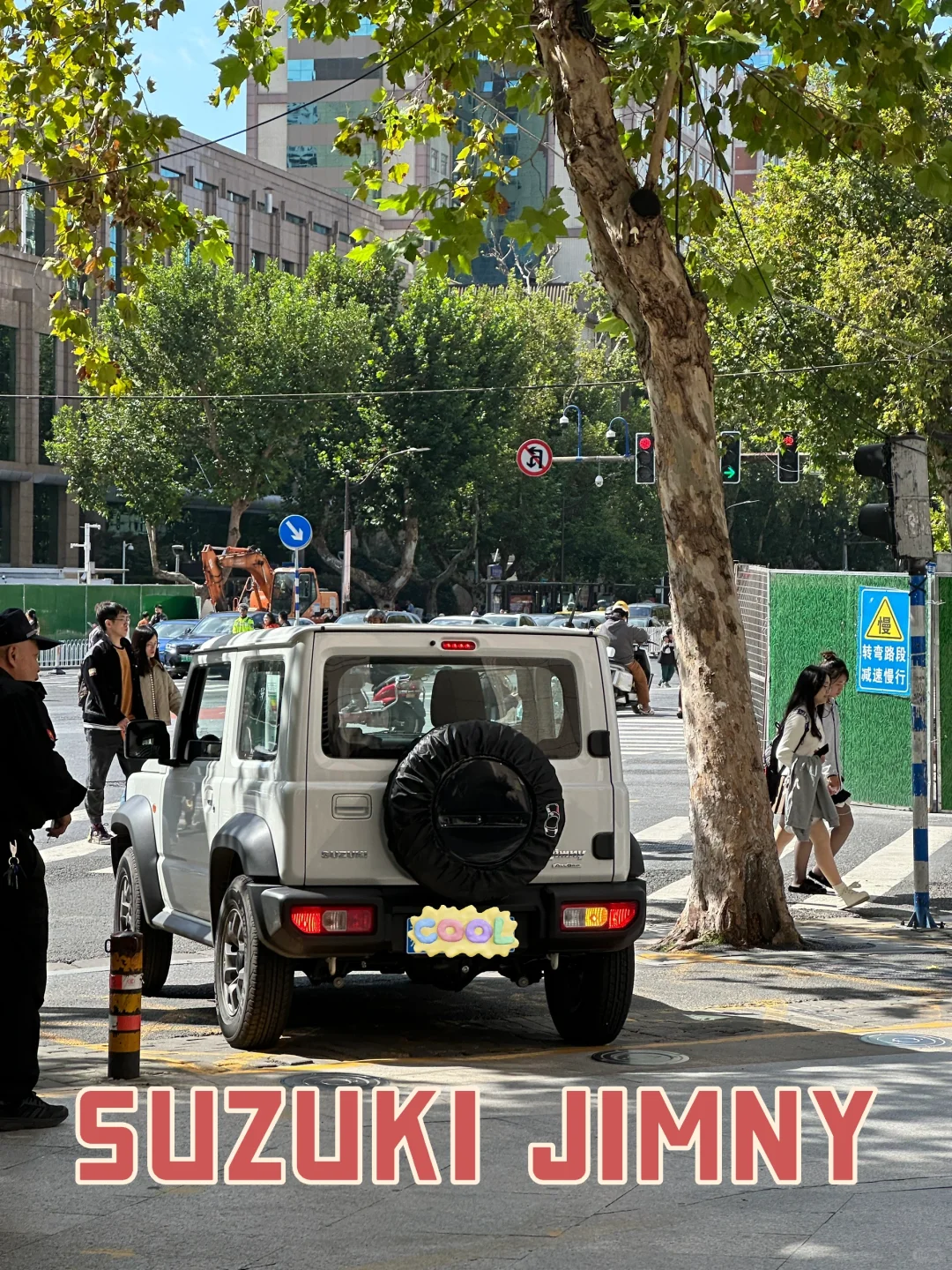 谁家的小鸡这么帅多钱一斤