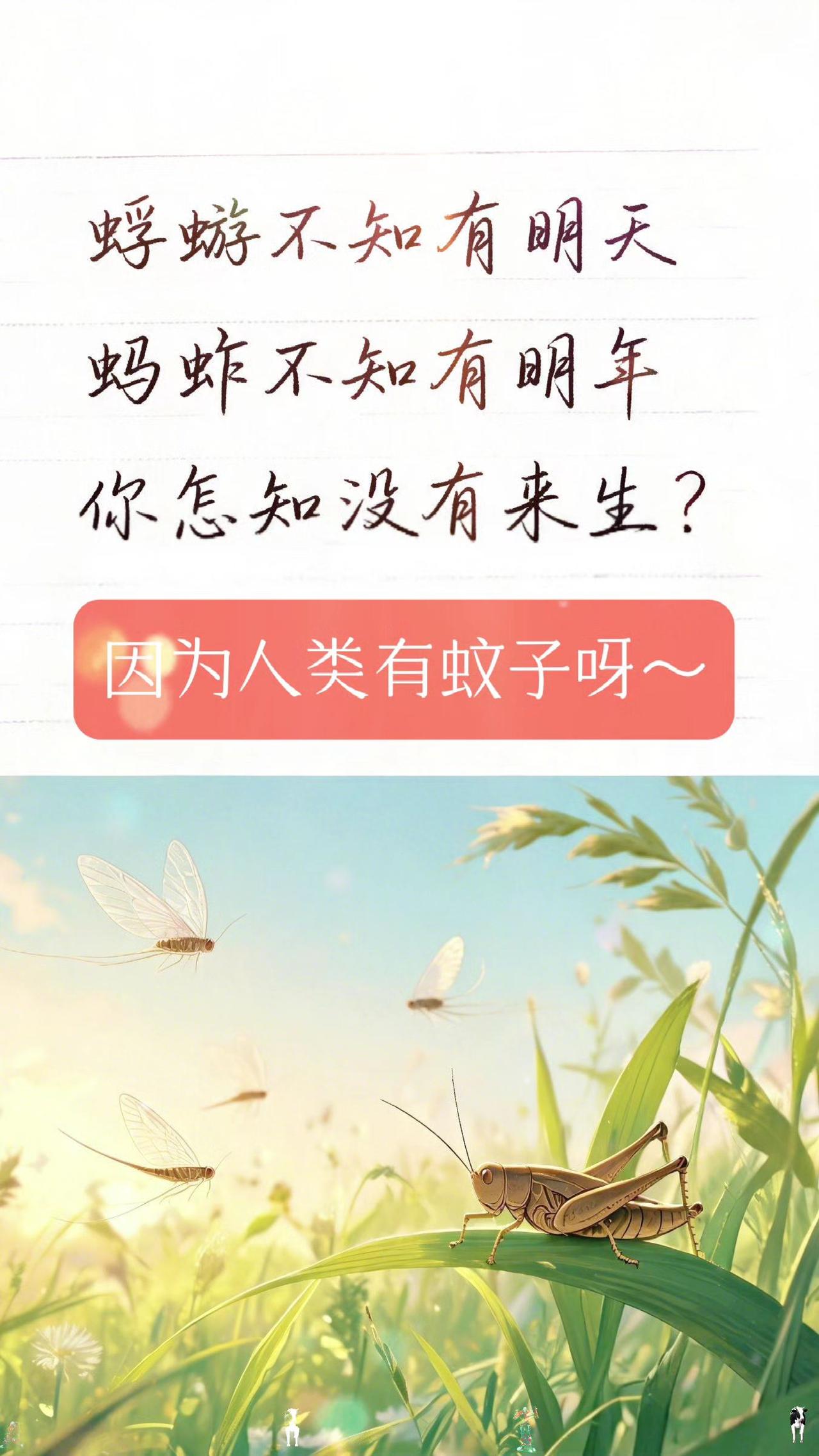 因为有意识和文字，可以记录，可以研究，可以突破表象和时间的束缚。每天开悟一点点