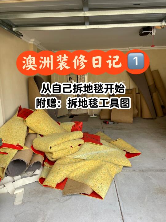 澳洲装修日记｜自己拆地毯怒省1000🔪