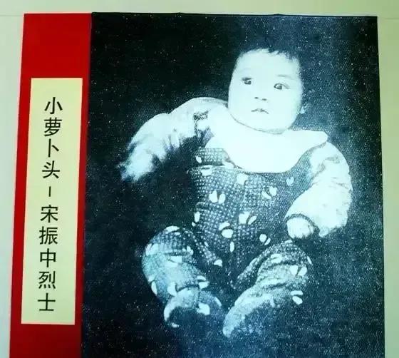 1949年，毛人凤问蒋介石，白公馆关着一个八岁大的小孩，应该如何处理，蒋介石看了