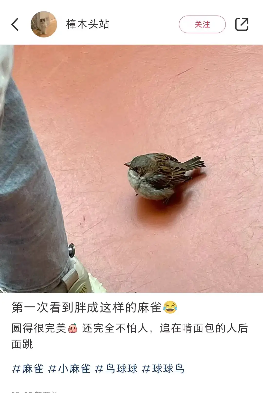 <img src=