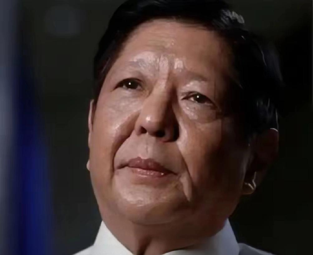 全球首例！菲律宾因能源荒进入紧急状态，1亿人陷入“无油可活”绝境
 
菲律宾彻底