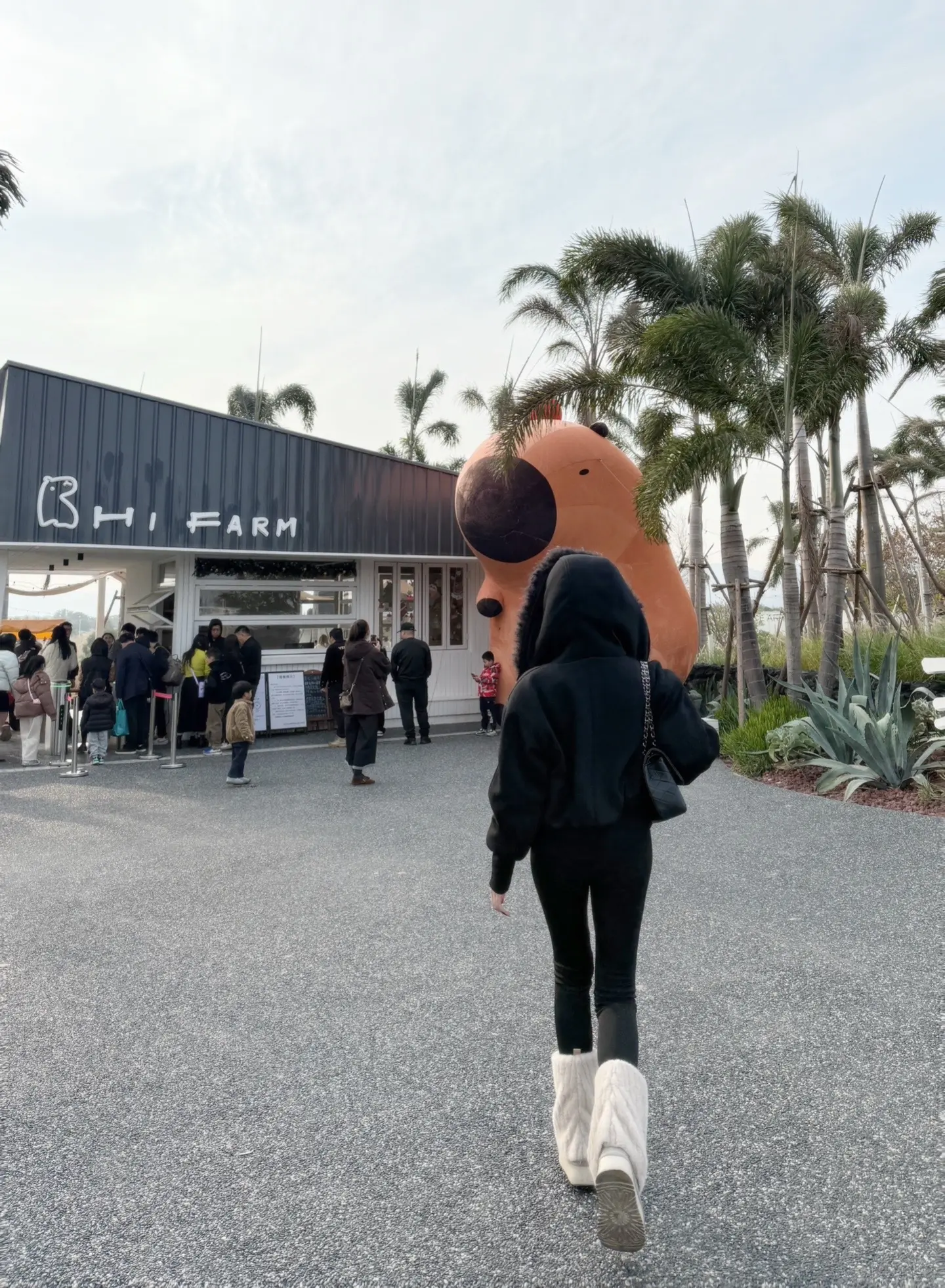 今年以幸福结尾plog