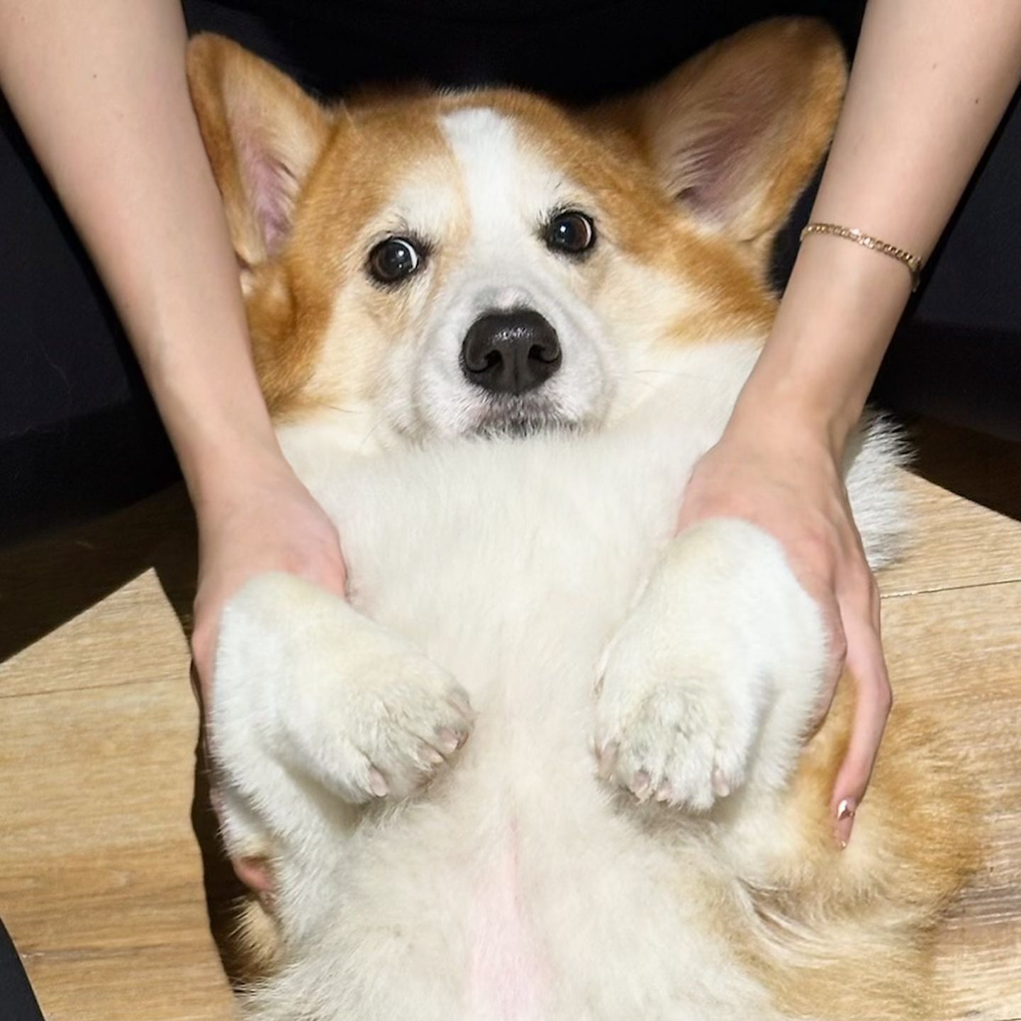 宝宝，你是一块大面包 