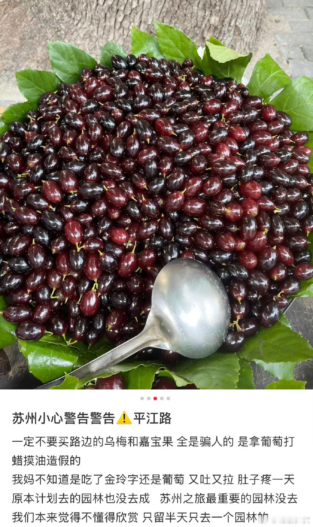 为什么全国景区都有这种水果全国景区频现的水果，多因便携耐储、受众广泛。其酸甜滋味
