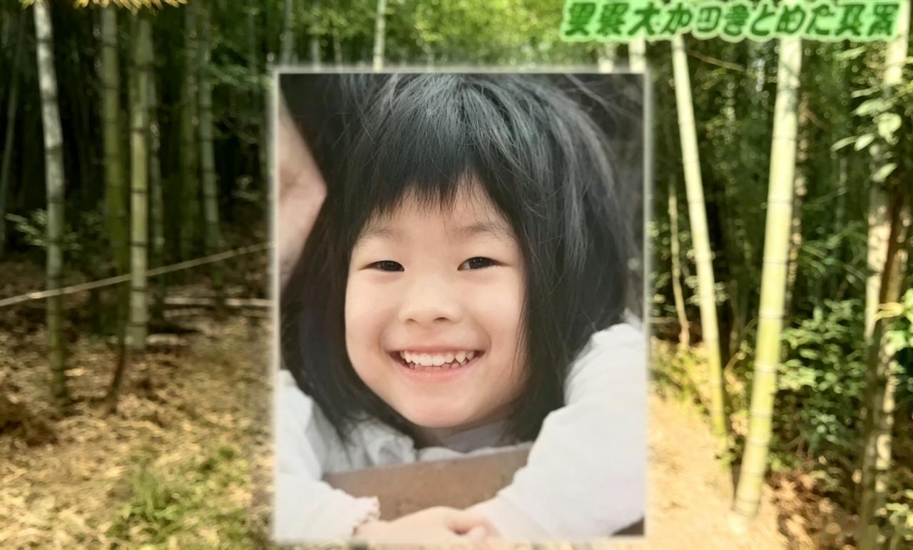 2005年，5岁日本女孩在挖笋时蹊跷失踪，警犬却在失踪点原地打转，仿佛孩子是凭空