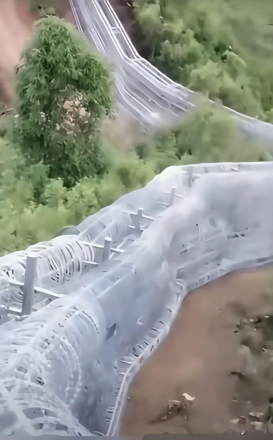 环泰山的铁丝网长龙建成，美其名曰，是为了防火防灾防野猪。

我横看竖看，怎么都像