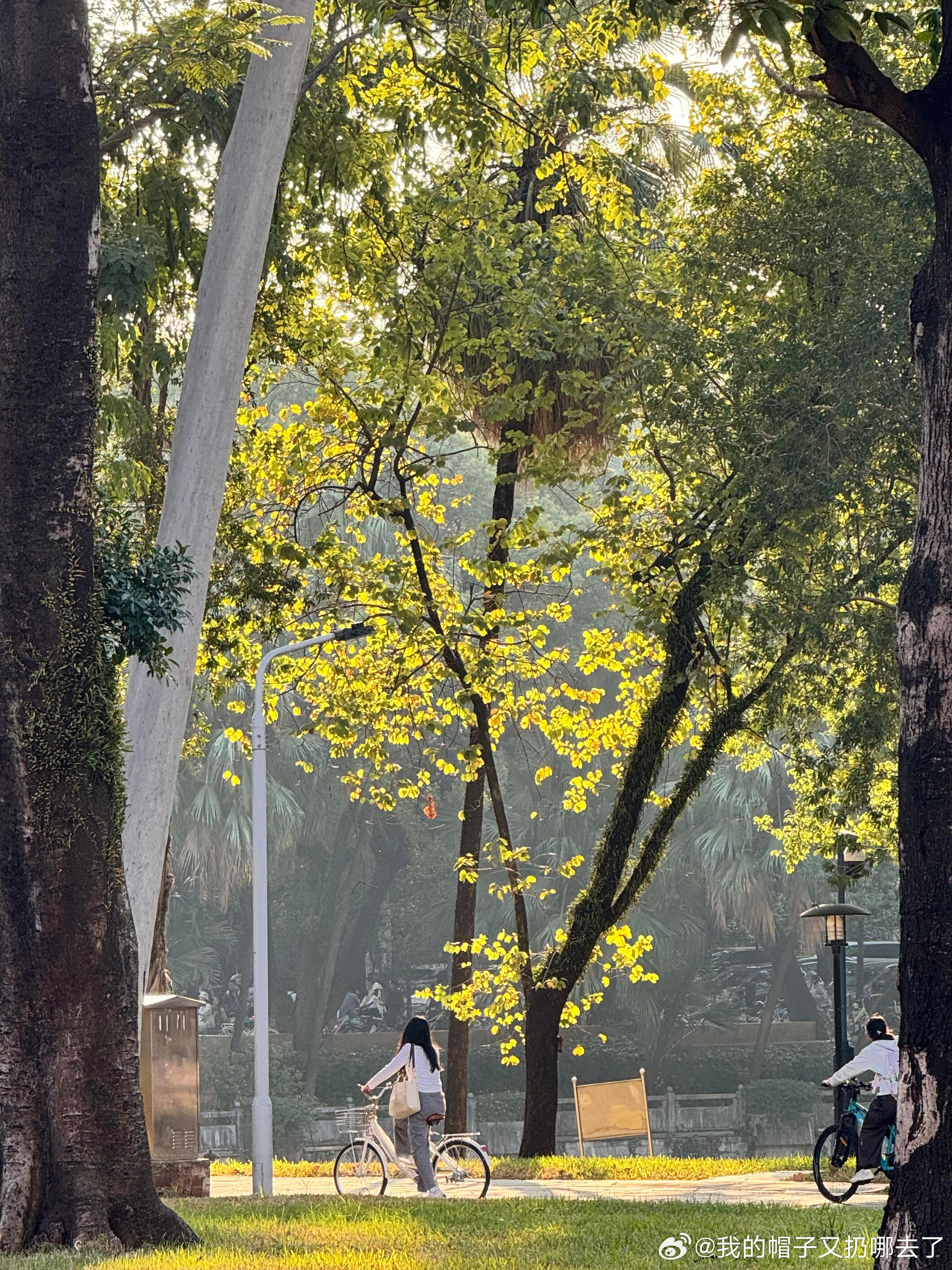 开学第一周vs开学第二周从想做特别的少数派，到安心加入大家的节奏，开学第二周彻底