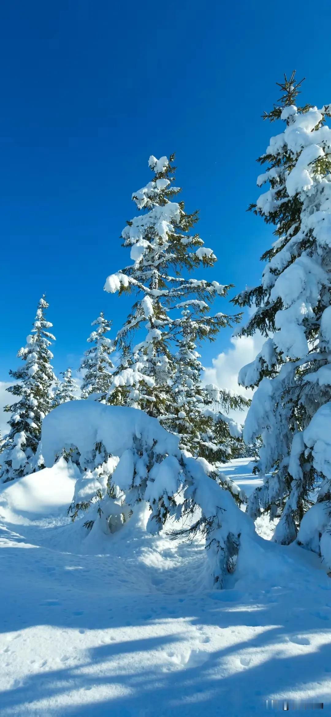 雪景，寂静的山林。喜欢，春日里的阳光明媚，更喜欢，冬天里的暖阳，不论在哪个季节，