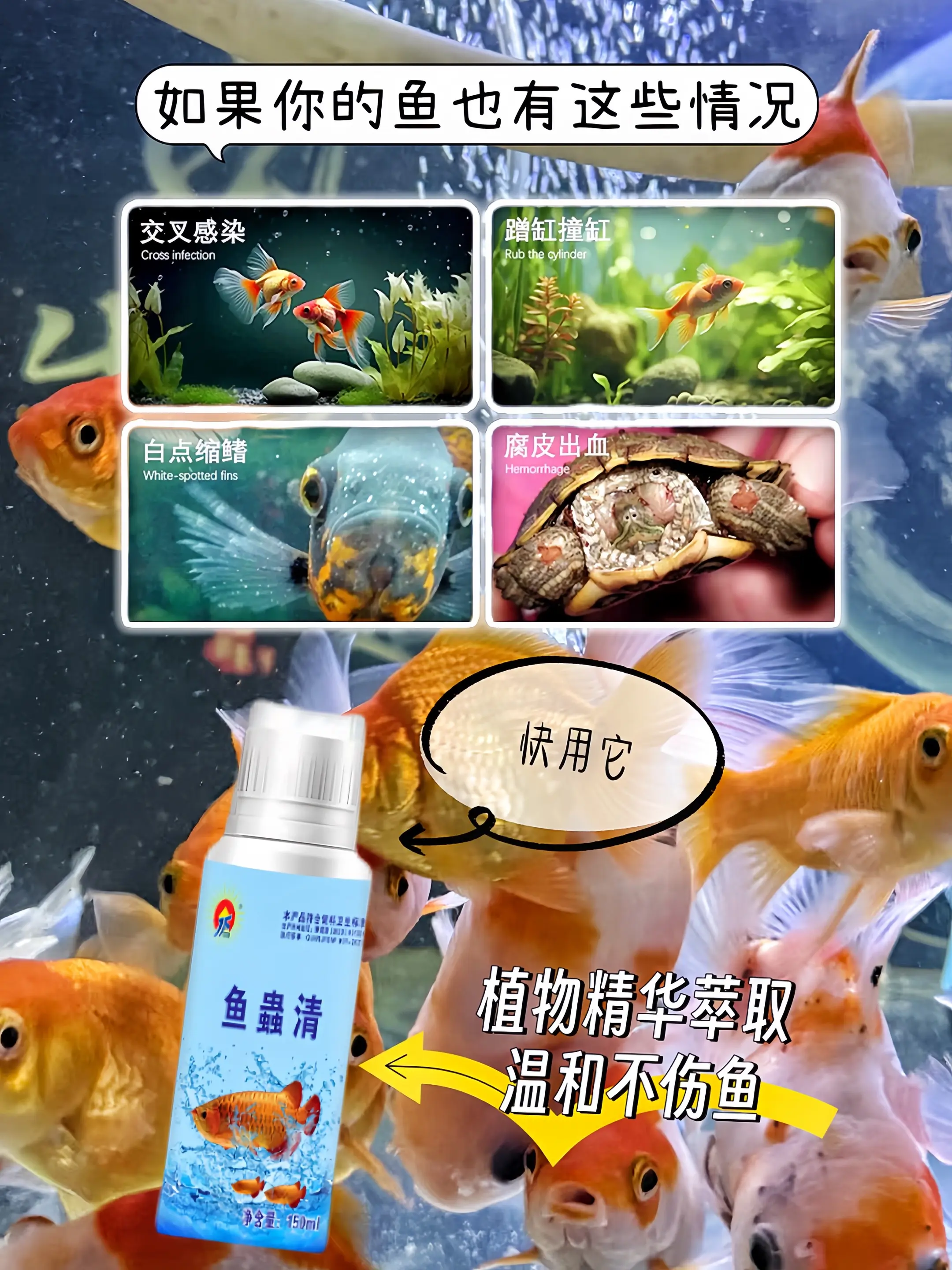 1. 驱虫高效：鱼蟲清，针对性强，能迅速且有效地驱除绦虫、毛细线虫、棘...