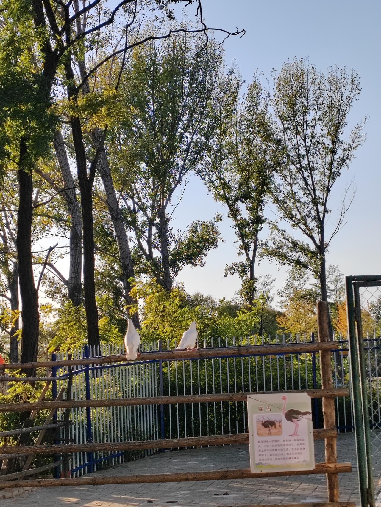 给自己一句话，你会说什么?
我应该会说，勇敢做自己不必在乎别人的眼光，26岁的你