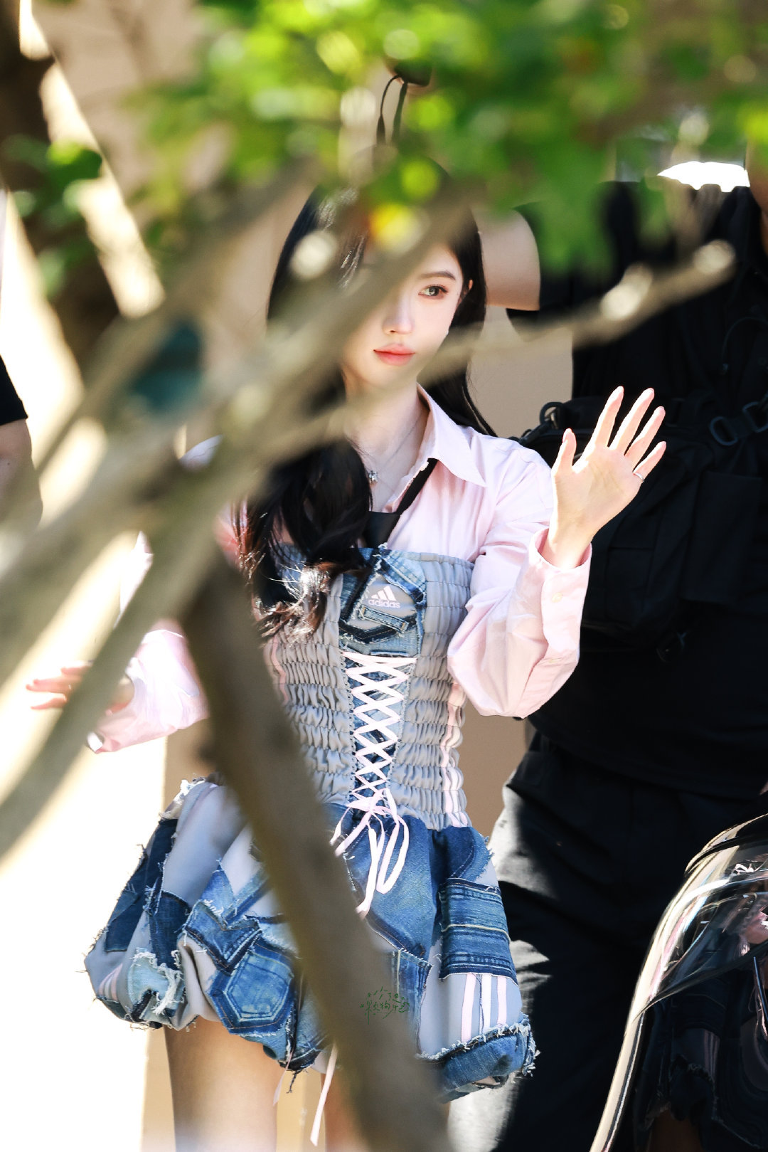 jjy鞠婧祎来战 jjy鞠婧祎阿黛 “玫瑰之所以是玫瑰，是风与光的眷顾，更是视线