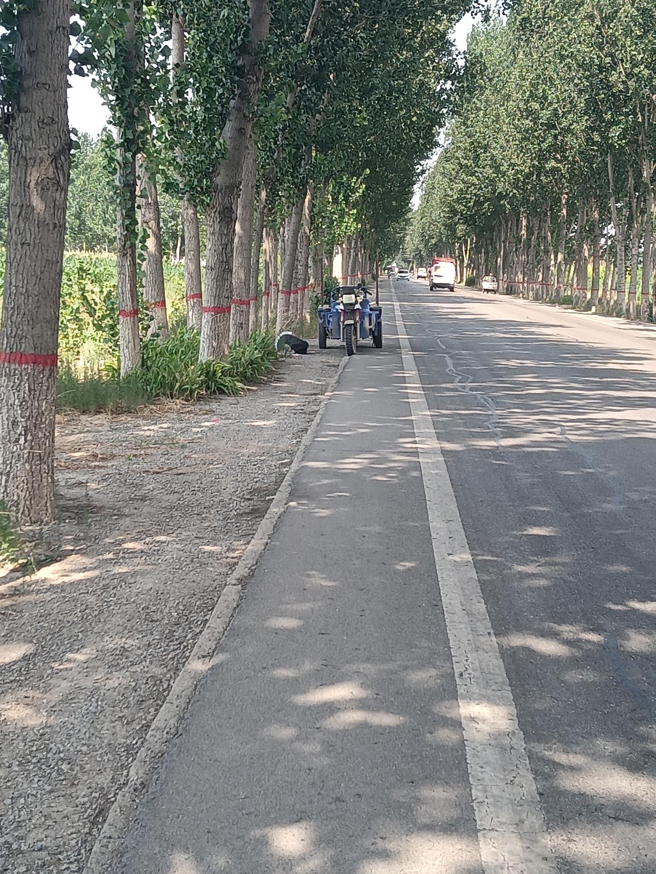 我可是吓坏了，加速冲了过去。跑出去约摸一里地，越想越不对：那人头西脚东地躺着，明